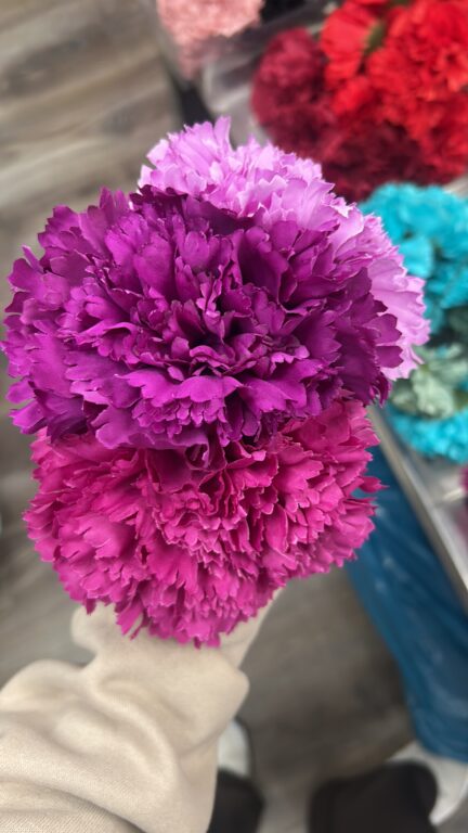 conjunto flores buganvilla