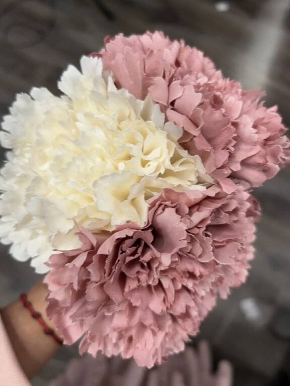 La Mona Complementos