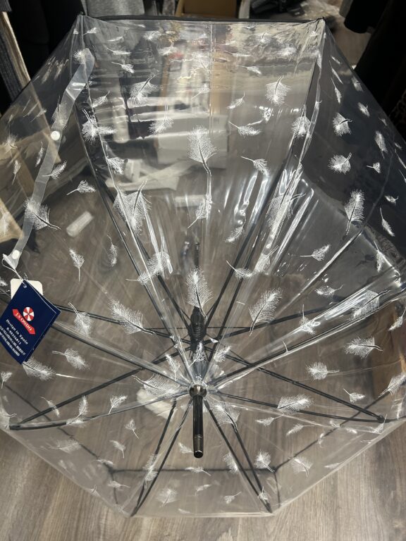 paragua hojas transparente